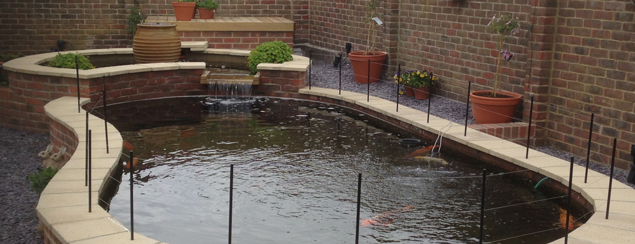 The Koi Shop Pond Services