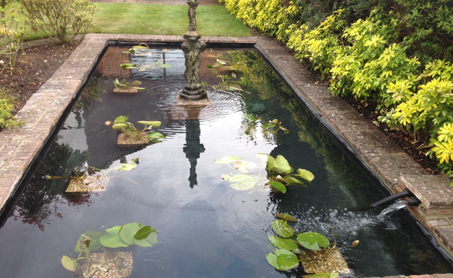 The Koi Shop Pond Services