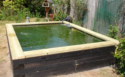 The Koi Shop Pond Services