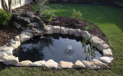 The Koi Shop Pond Services
