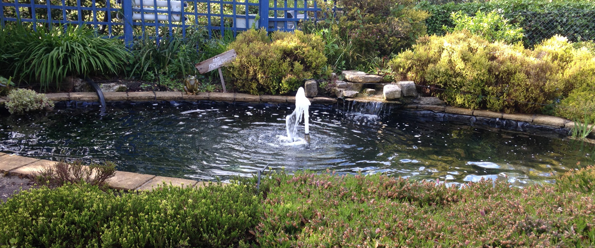 The Koi Shop Pond Services