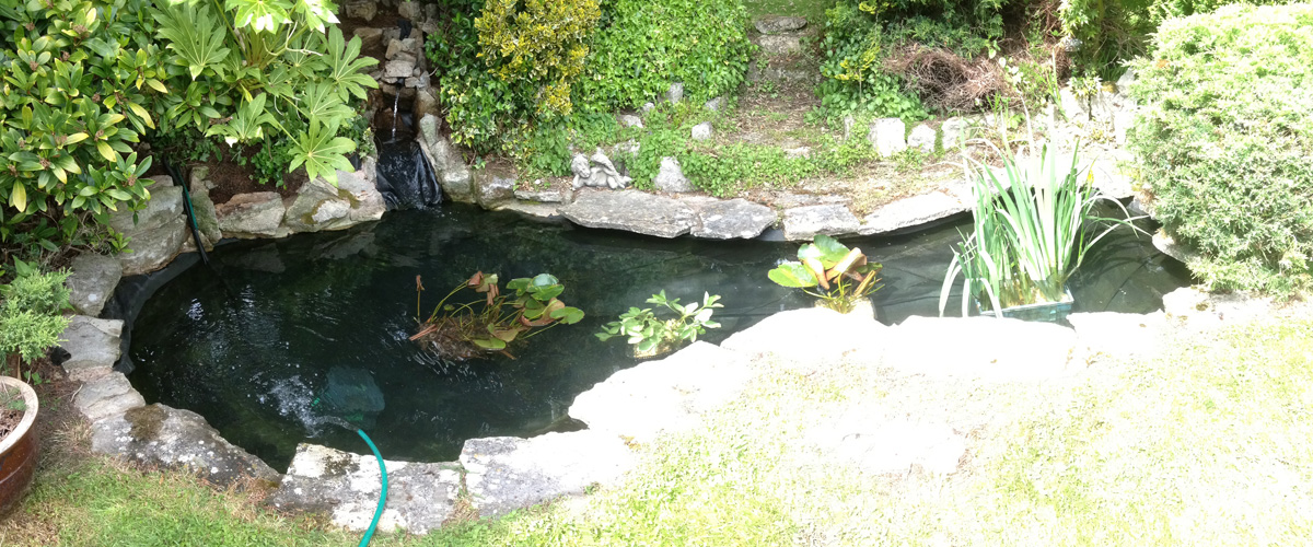 The Koi Shop Pond Services