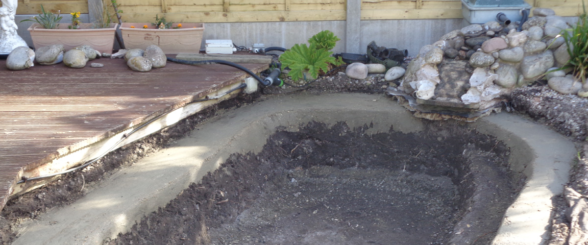 The Koi Shop Pond Services