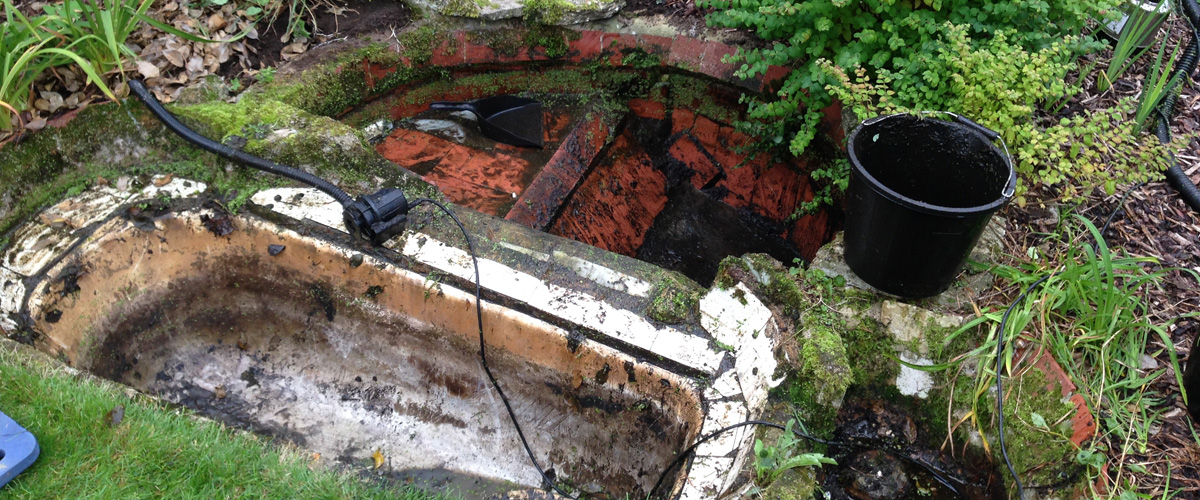 The Koi Shop Pond Services