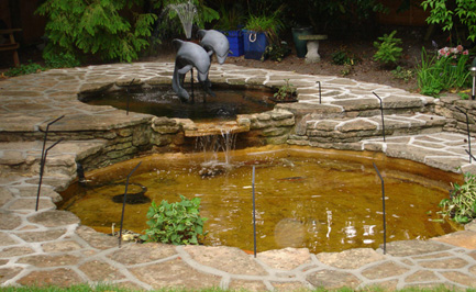 The Koi Shop Pond Services