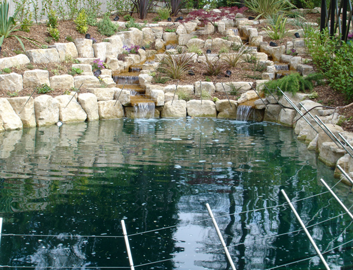 The Koi Shop Pond Services