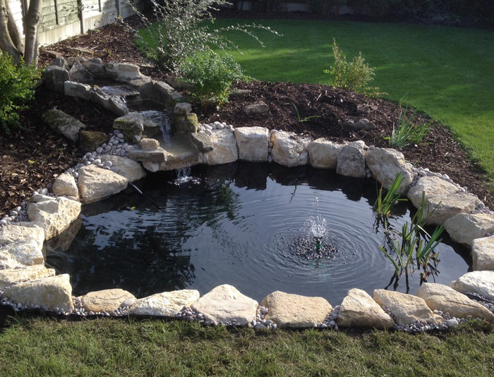 The Koi Shop Pond Services