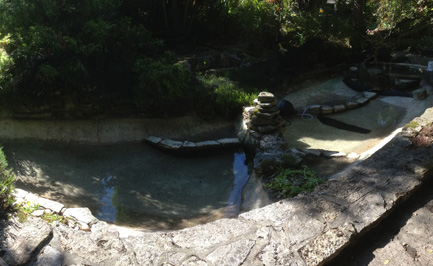 The Koi Shop Pond Services